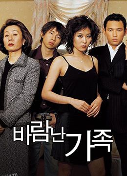 偷情的家族 海报