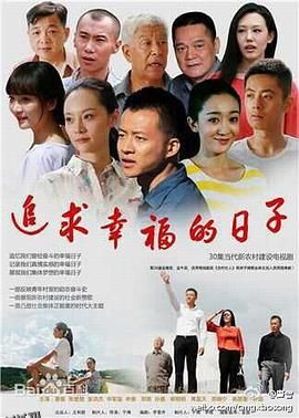 追求幸福的日子 海报
