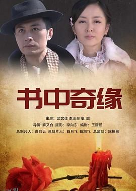 稻草人上门 海报