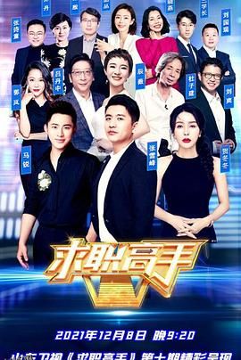 求职高手青春季 海报