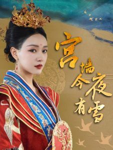 宫墙今夜有雪 海报