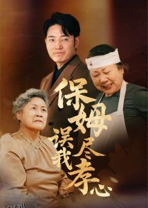 保姆误我尽孝心 海报