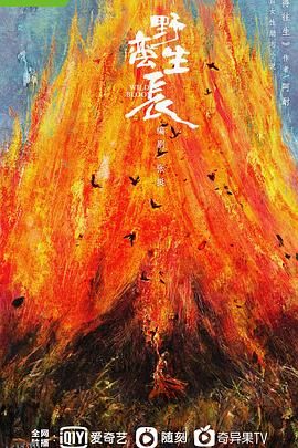 野蛮生长[电影解说] 海报