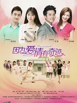 因为爱情有奇迹DVD 海报