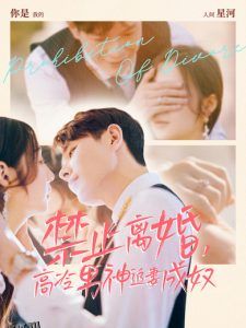 禁止离婚，高冷男神追妻成奴 海报