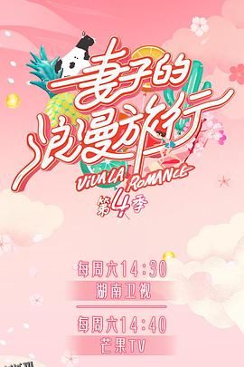 妻子的浪漫旅行第四季 海报