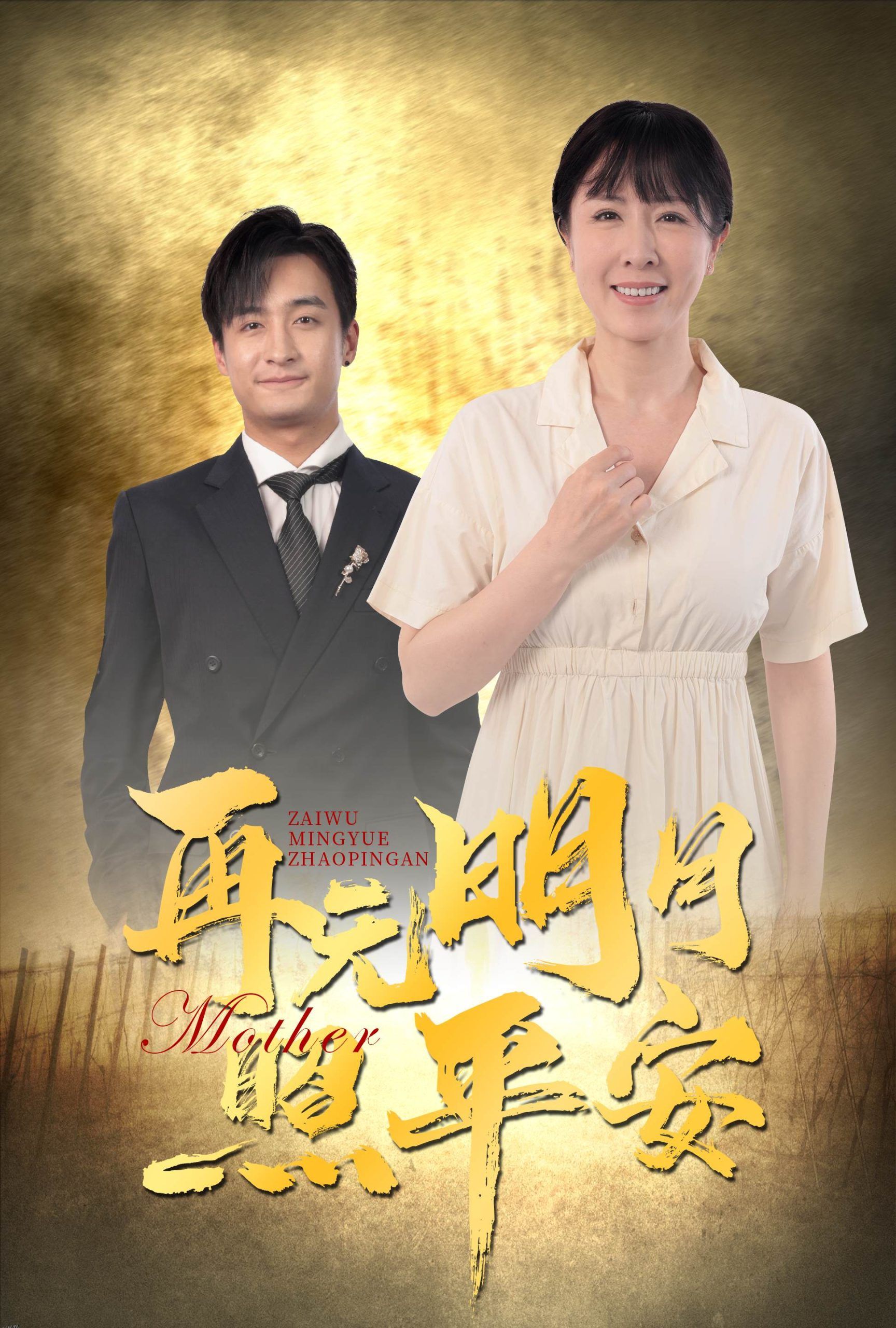 再无明月照平安 海报