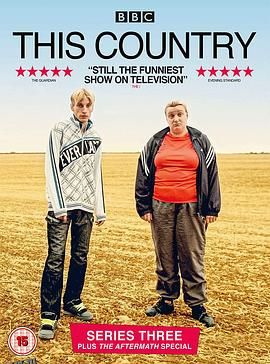 英村脑残故事第三季 海报