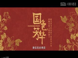 英超联赛 布伦特福德VS利物浦 20250118 高清海报