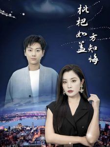 枇杷如盖方知悔 高清海报