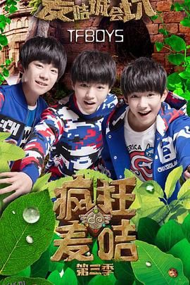 疯狂的麦咭第三季 海报