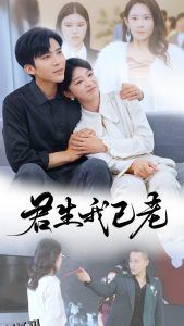 君生我已老 海报