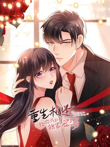 重生相逢：给你我的独家宠溺 海报