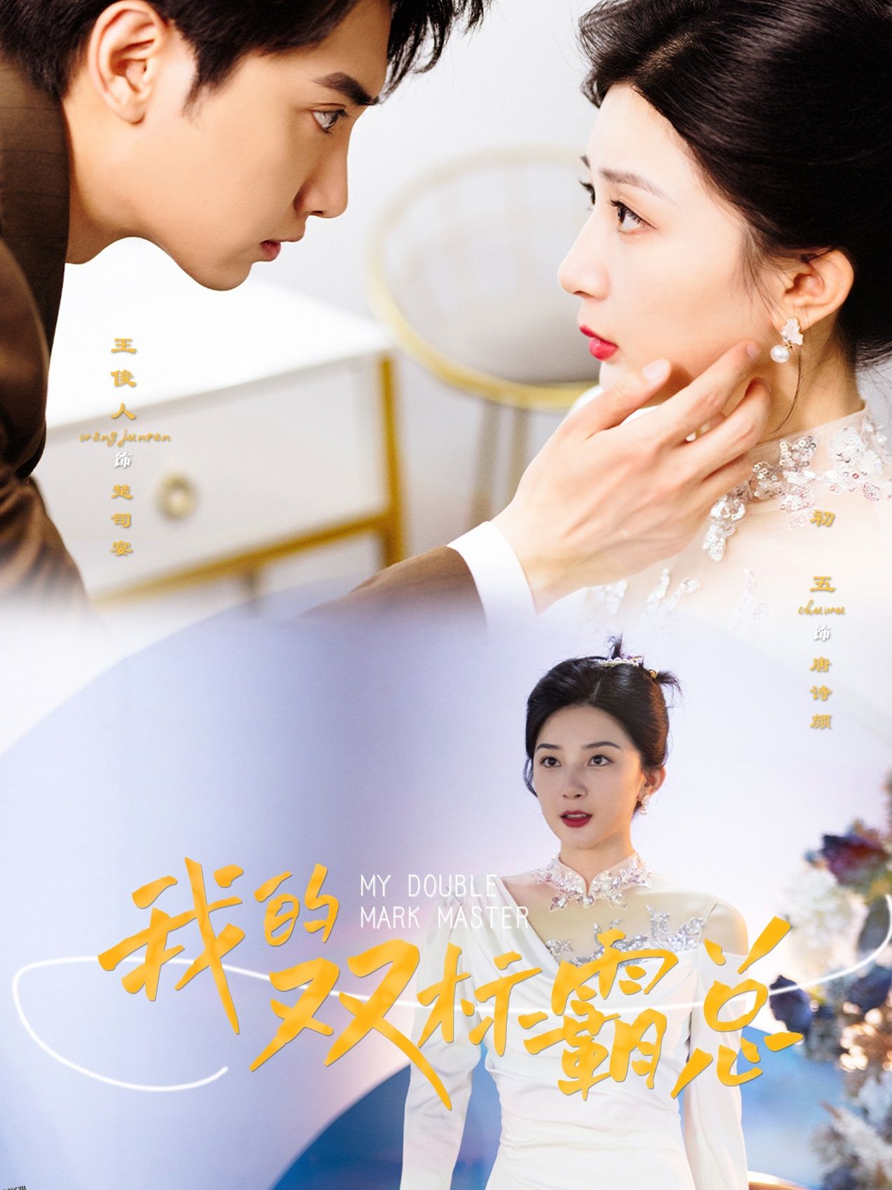 我的双标霸总 海报