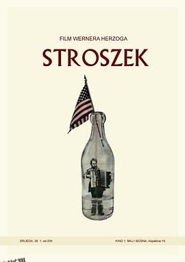 史楚锡流浪记 高清海报