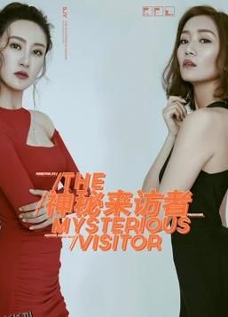 神秘来访者 海报