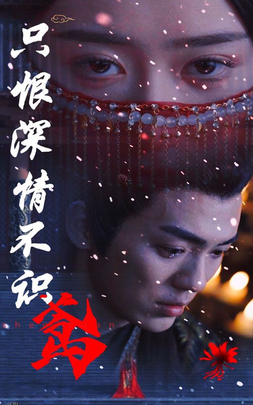 只恨深情不识鸢 海报