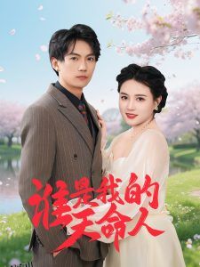 谁是我的天命人 海报