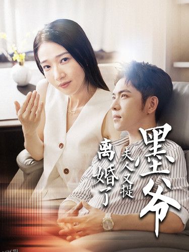 墨爷夫人又提离婚了 海报