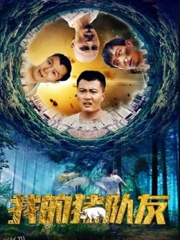 我的猪队友 海报