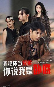 我把你当兄弟你说我是卧底 海报