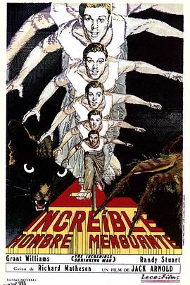 不可思议的收缩人[电影解说] 高清海报