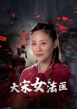 大宋女法医 海报
