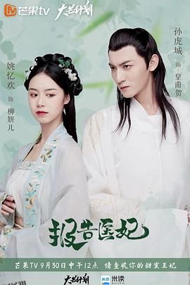 报告医妃 海报