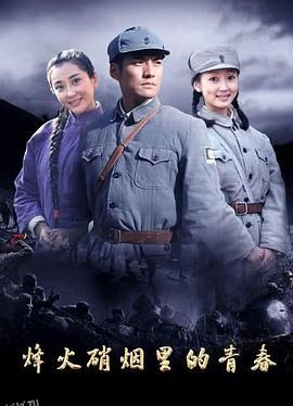 烽火硝烟里的青春 海报