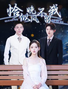 恰似晚风不留我＆弃他如风 海报