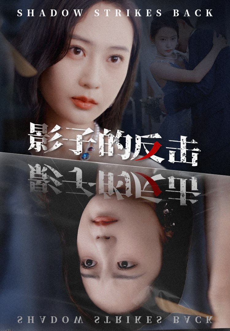 影子的反击 海报
