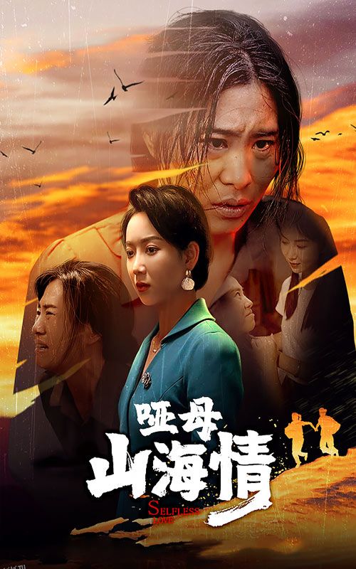 哑母山海情 海报