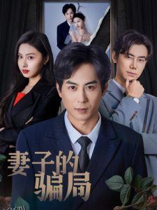 妻子的骗局 海报