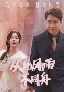 从此风雨不同舟 海报