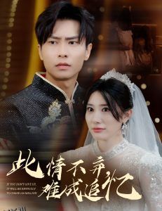 此情不弃难成追忆 海报