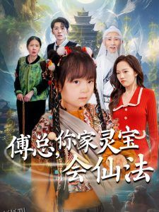 傅总，你家灵宝会仙法 海报