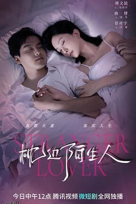 枕边陌生人 海报