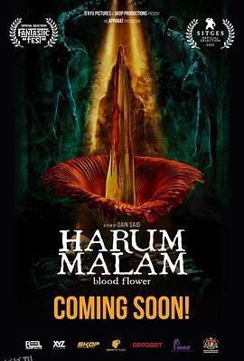 血忌[电影解说] 海报