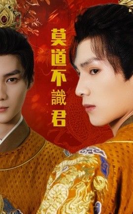 莫道不识君 海报