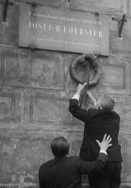 我们的费尔斯特先生去世了 海报