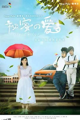 秘密的爱 海报