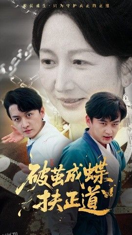 破茧成蝶扶正道 海报