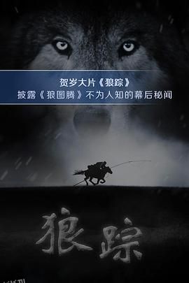 狼踪2015 海报