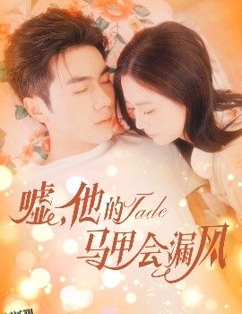 嘘，他的马甲会漏风 海报