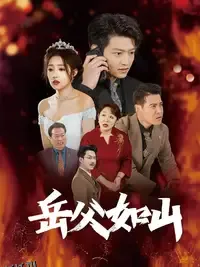 岳父的礼物 海报