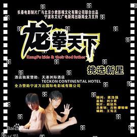 龙拳天下 海报