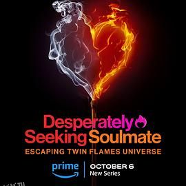 寻找灵魂伴侣：逃离双生火焰宇宙 海报