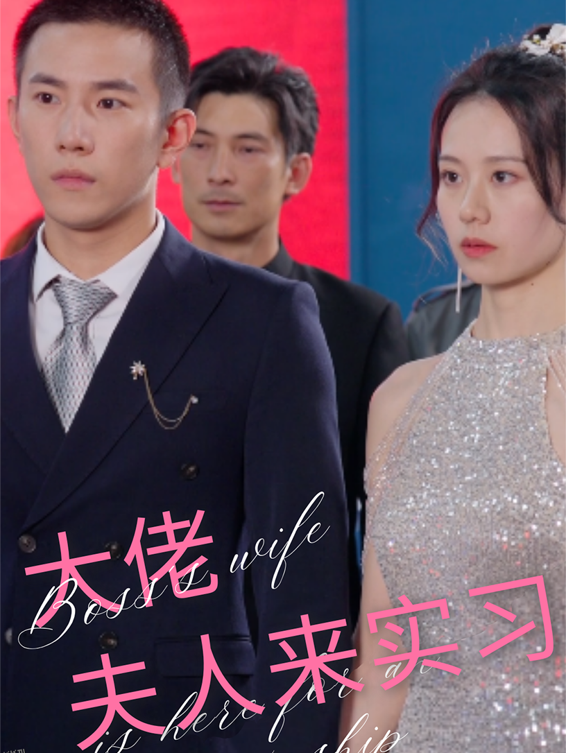 大佬夫人来实习 海报