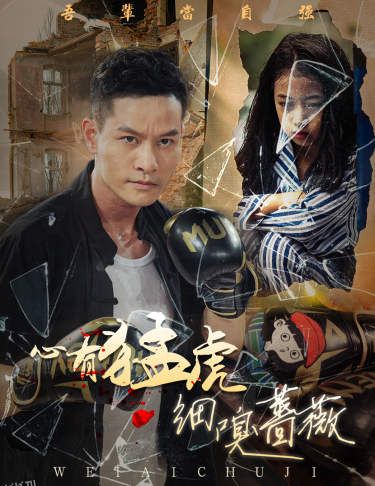 心有猛虎细嗅蔷薇 海报