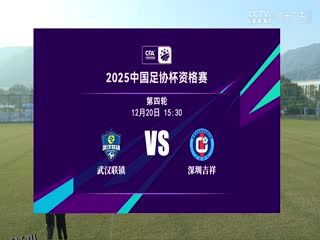 足协杯资格赛 武汉联镇VS深圳吉祥 20241220 高清海报